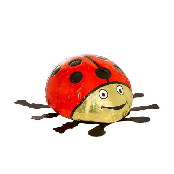 Klett Large Milk Chocolate Lady Bug 80g